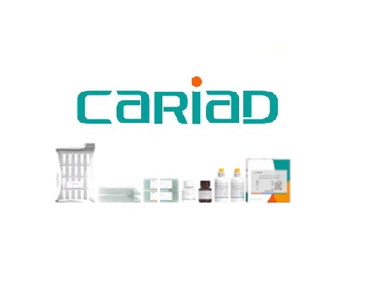 CARIAD